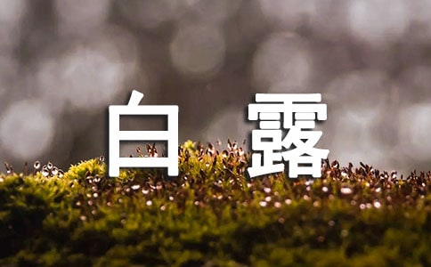 白露節(jié)氣教案