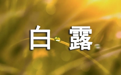 白露時節甘薯田間的管理技巧