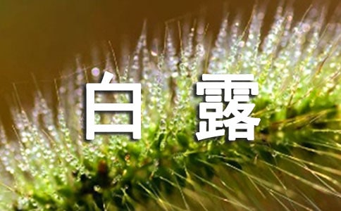 白露節氣應該怎么釣魚