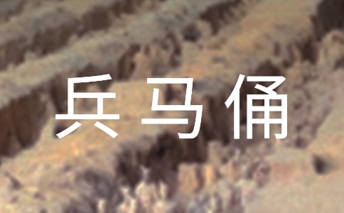 秦兵馬俑導游詞【合集】