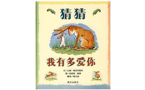 猜猜我有多愛你讀后感