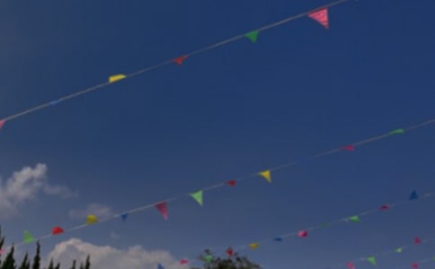 中班排序活動掛彩旗教案（精選11篇）