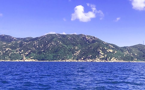 胖大海泡水喝的功效