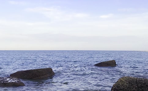 在大海中永生現代文閱讀答案