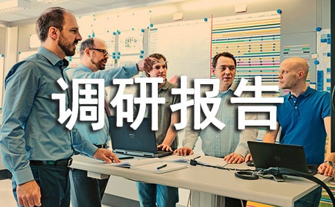 工程調(diào)研報告