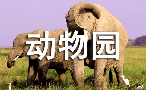 有關上海動物園景點游玩全攻略