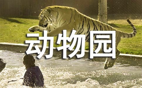 大連森林動物園游玩攻略