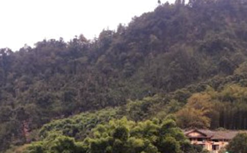 峨眉山游玩攻略
