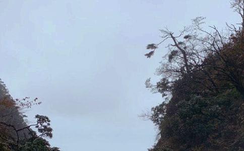 峨眉山月歌教案