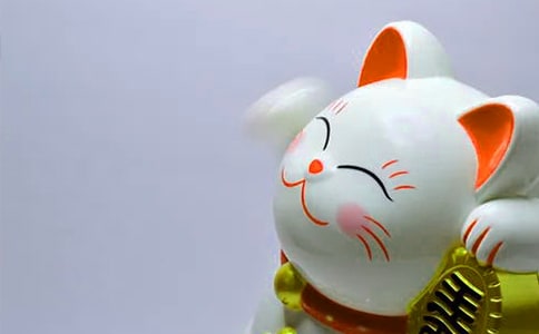 發財樹五大養護技巧