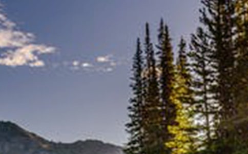 柘林湖風(fēng)景區(qū)游玩攻略