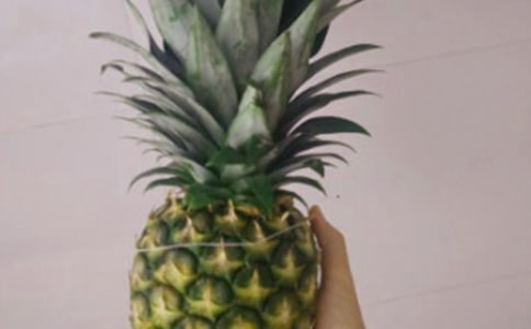 鳳梨花通常什么時候開花