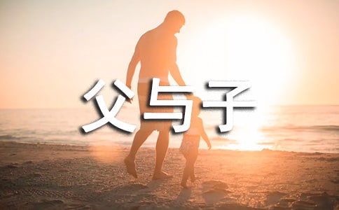 大班美術活動方案父與子（通用6篇）