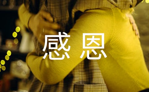 感恩孝順句子優(yōu)選