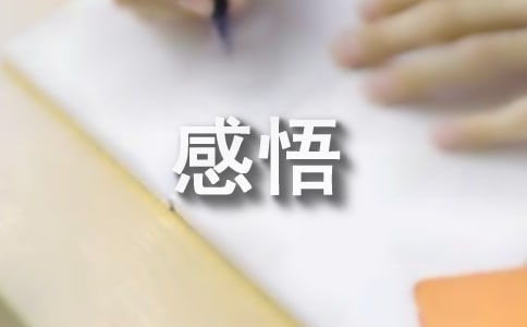 每天生活感悟