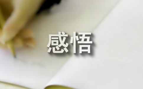 初中生活感悟優秀
