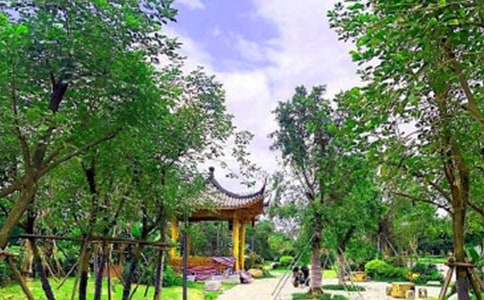 景德鎮高嶺國家礦山公園好玩嗎