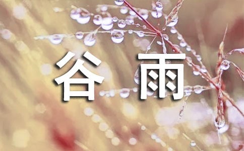 谷雨的傳統習俗有哪些