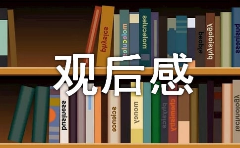 三傻大鬧寶萊塢觀后感