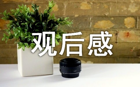 《三傻大鬧寶萊塢》觀后感