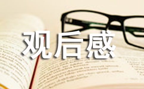 律政俏佳人觀后感13篇