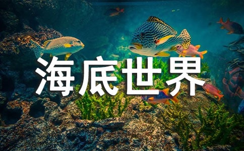 （精華）《海底世界》教案