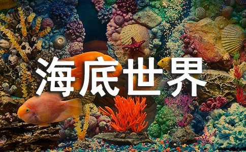 《海底世界》教案海底世界教學設計優秀教案