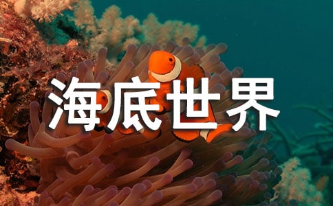 富國(guó)海底世界的游玩攻略