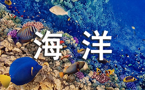 寧波海洋世界游玩攻略