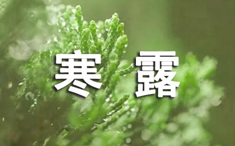 寒露傳統食物介紹