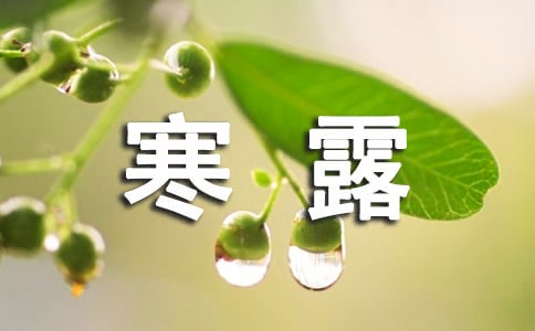 寒露時節(jié)祝福語
