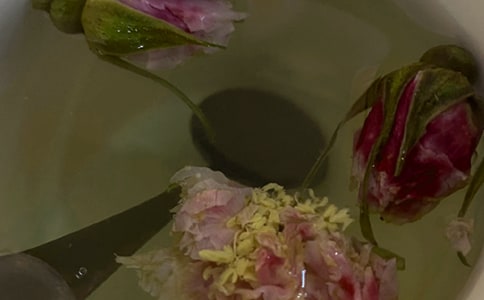 清肺潤肺的花茶有哪些