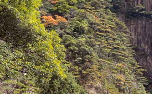 黃山自助游玩攻略