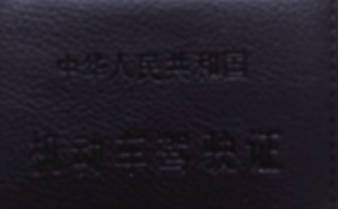 考駕照要多久