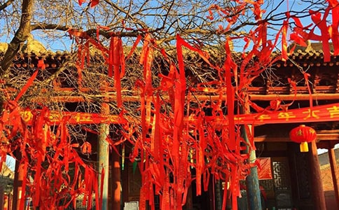 3月7日是什么節日