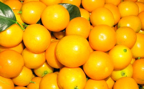 金桔盆栽什么時候開花