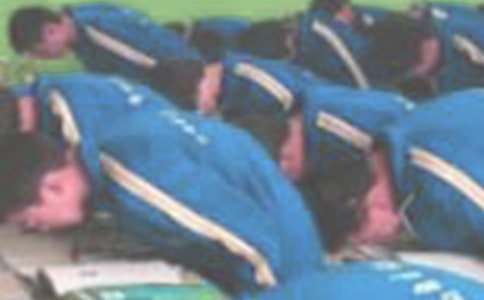 向生命鞠躬閱讀答案