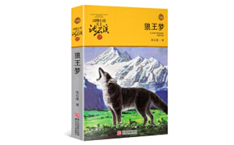 狼王夢讀后感（通用21篇）