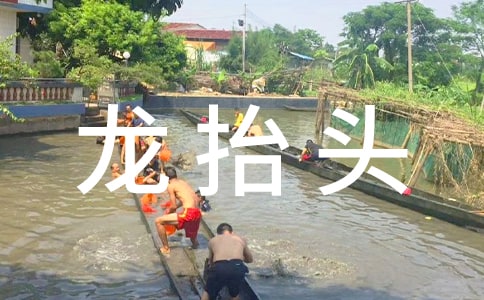 什么是龍抬頭