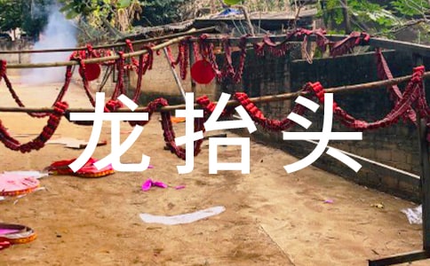 2017年龍?zhí)ь^是幾月幾日