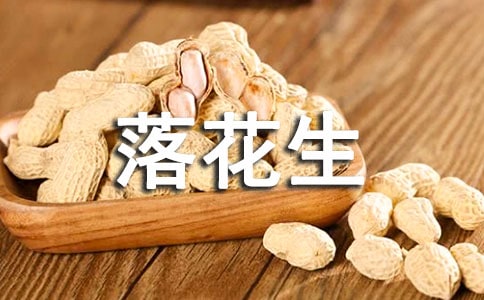 讀《落花生》有感