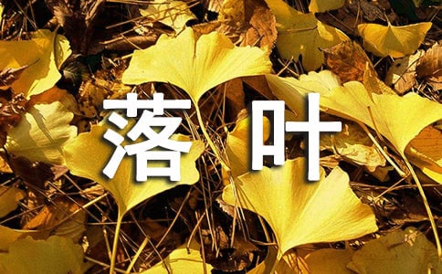 大班語言教案：小老鼠和落葉