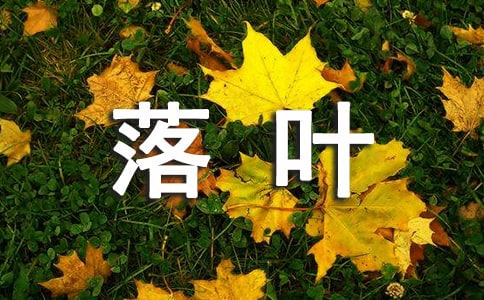 通用形容落葉的句子6句