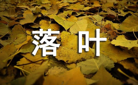 小老鼠和落葉教案