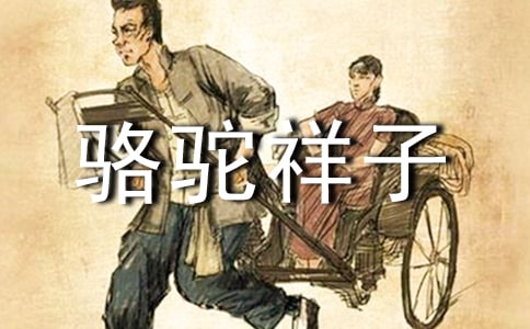 個人讀駱駝祥子心得范文