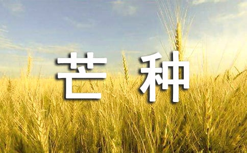 芒種養生吃哪些食物好