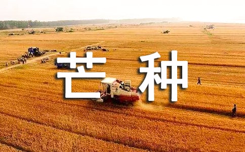 芒種開(kāi)什么花