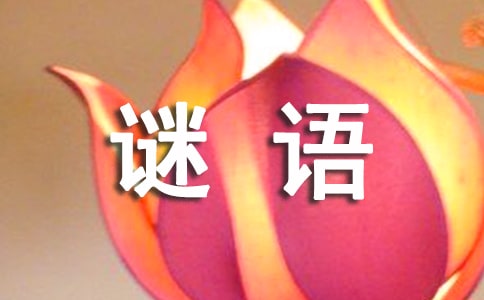 猜謎語的答題技巧