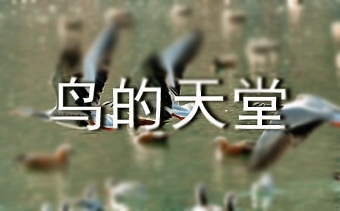 鳥的天堂導游詞