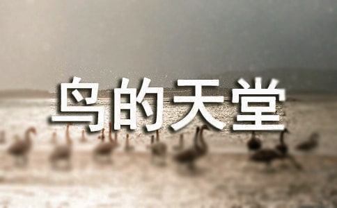 鳥的天堂導游詞